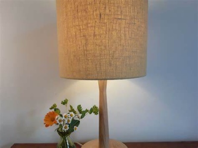 燈罩檢測報告 燈罩檢測報告